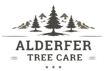Alderfer Tree LLC