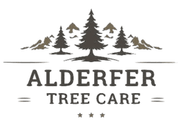 Alderfer Tree LLC