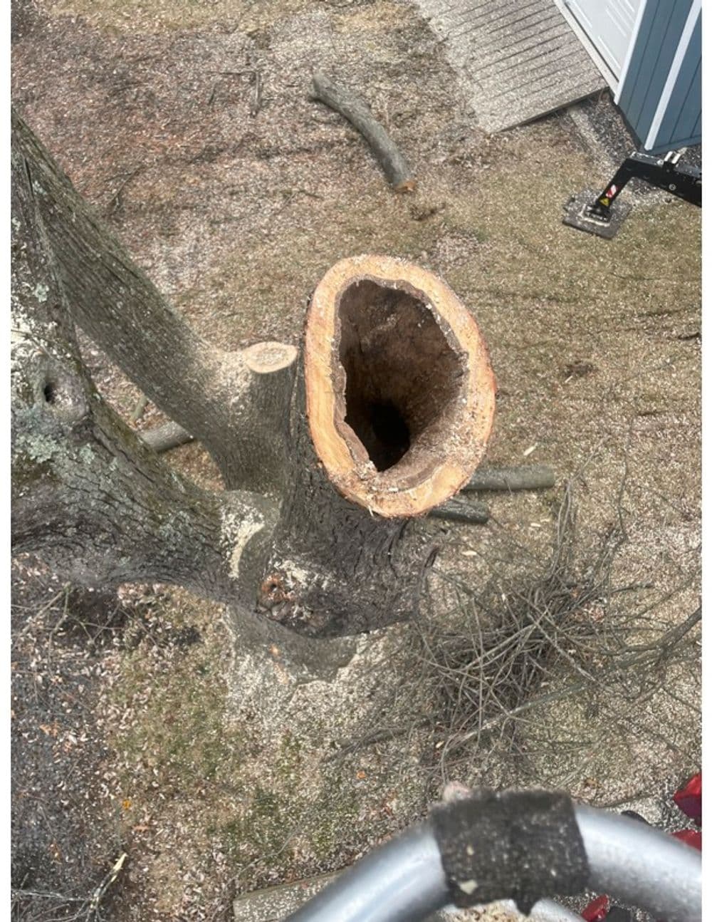 Stump Grinding image