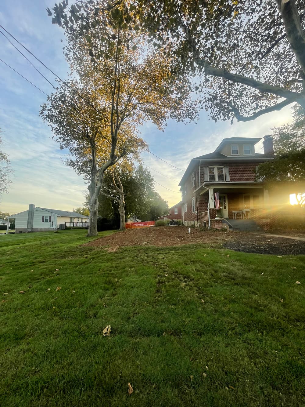 Project Rhododendron Removal and Sycamore Trimming Clears the Way in Silverdale image