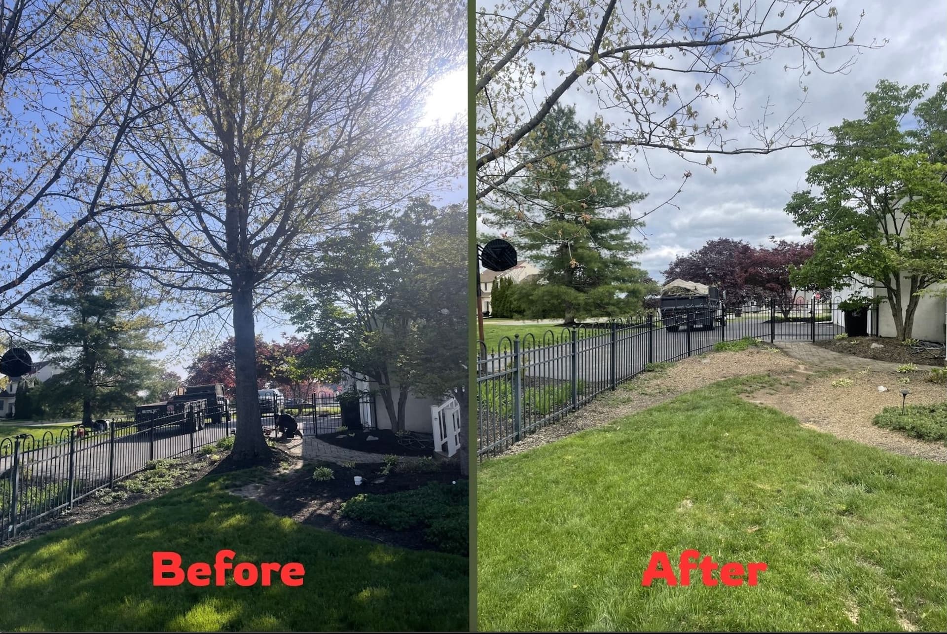 Large Tree Removal Opens Up a Crowded Yard image
